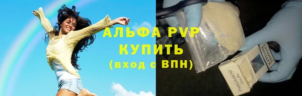 твердый Ельня