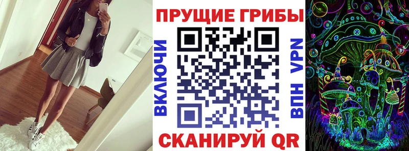 Псилоцибиновые грибы GOLDEN TEACHER  Сокол 